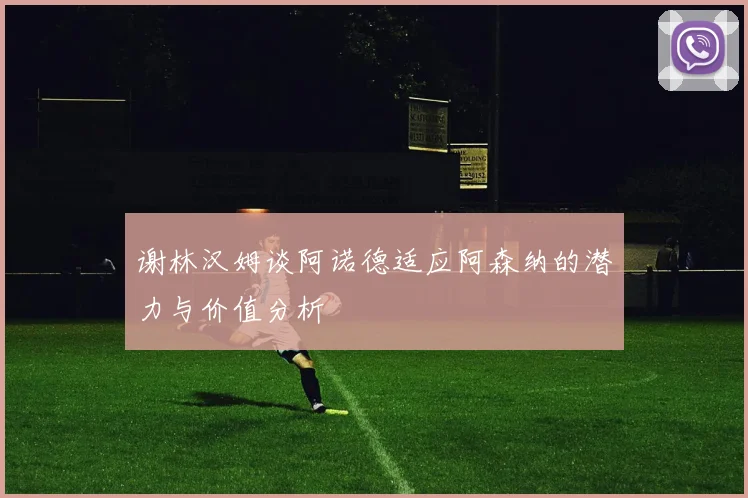 谢林汉姆谈阿诺德适应阿森纳的潜力与价值分析
