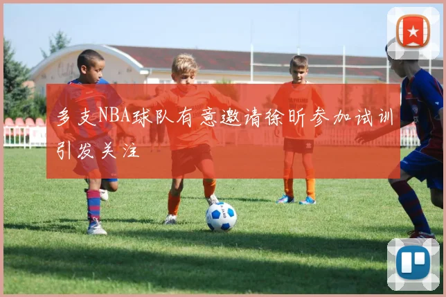 多支NBA球队有意邀请徐昕参加试训引发关注