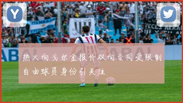 热火向戈尔金报价双向合同受限制自由球员身份引关注